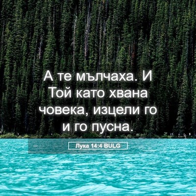 Picture 05 - Лука 14:4 BULG - А те мълчаха. И Той като - Bible Verse Picture