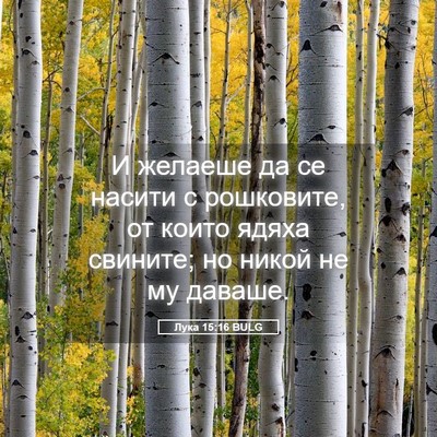 Picture 05 - Лука 15:16 BULG - И желаеше да се насити с - Bible Verse Picture
