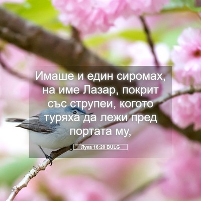 Picture 05 - Лука 16:20 BULG - Имаше и един сиромах, на - Bible Verse Picture