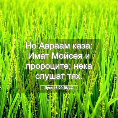 Picture 05 - Лука 16:29 BULG - Но Авраам каза: Имат Мойсея - Bible Verse Picture