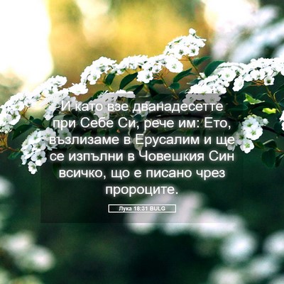 Picture 05 - Лука 18:31 BULG - И като взе дванадесетте - Bible Verse Picture
