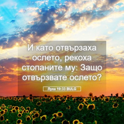 Picture 05 - Лука 19:33 BULG - И като отвързаха ослето, - Bible Verse Picture