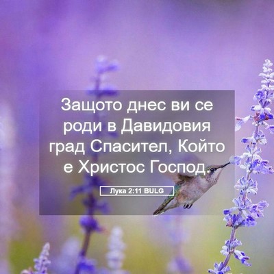 Picture 05 - Лука 2:11 BULG - Защото днес ви се роди в - Bible Verse Picture