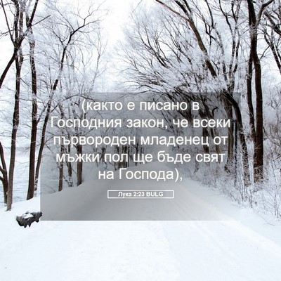 Picture 05 - Лука 2:23 BULG - (както е писано в Господния - Bible Verse Picture