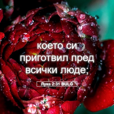 Picture 05 - Лука 2:31 BULG - което си приготвил пред - Bible Verse Picture