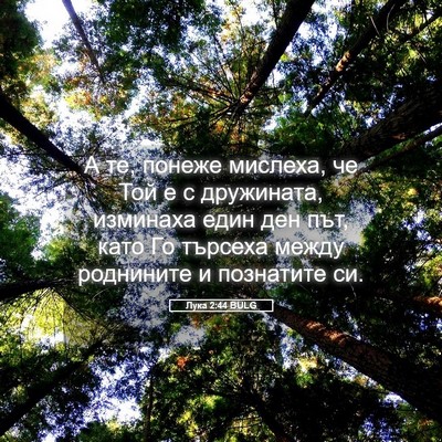 Picture 05 - Лука 2:44 BULG - А те, понеже мислеха, че Той - Bible Verse Picture