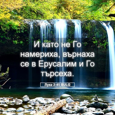 Picture 05 - Лука 2:45 BULG - И като не Го намериха, - Bible Verse Picture