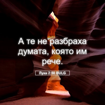 Picture 05 - Лука 2:50 BULG - А те не разбраха думата, - Bible Verse Picture