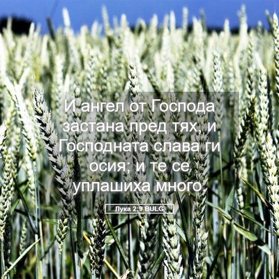 Picture 05 - Лука 2:9 BULG - И ангел от Господа застана - Bible Verse Picture