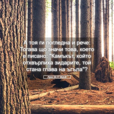Picture 05 - Лука 20:17 BULG - А тоя ги погледна и рече: - Bible Verse Picture