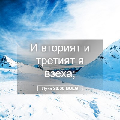Picture 05 - Лука 20:30 BULG - И вторият и третият я - Bible Verse Picture