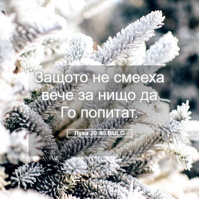 Picture 05 - Лука 20:40 BULG - Защото не смееха вече за - Bible Verse Picture