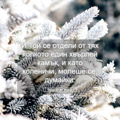 Picture 05 - Лука 22:41 BULG - И Той се отдели от тях - Bible Verse Picture