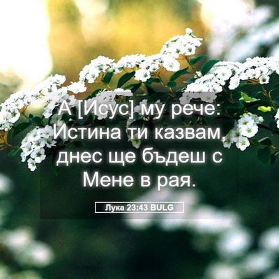 Picture 05 - Лука 23:43 BULG - А [Исус] му рече: Истина ти - Bible Verse Picture