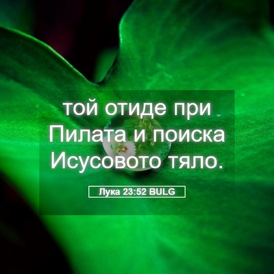 Picture 05 - Лука 23:52 BULG - той отиде при Пилата и - Bible Verse Picture