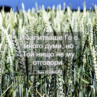 Picture 05 - Лука 23:9 BULG - И запитваше Го с много - Bible Verse Picture