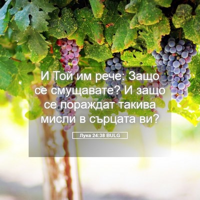 Picture 05 - Лука 24:38 BULG - И Той им рече: Защо се - Bible Verse Picture
