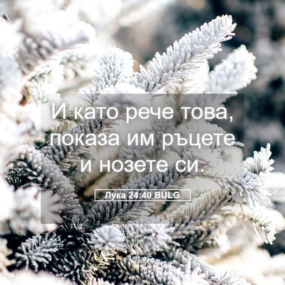 Picture 05 - Лука 24:40 BULG - И като рече това, показа им - Bible Verse Picture
