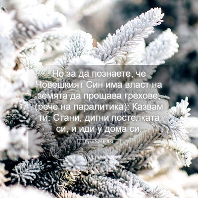 Picture 05 - Лука 5:24 BULG - Но за да познаете, че - Bible Verse Picture
