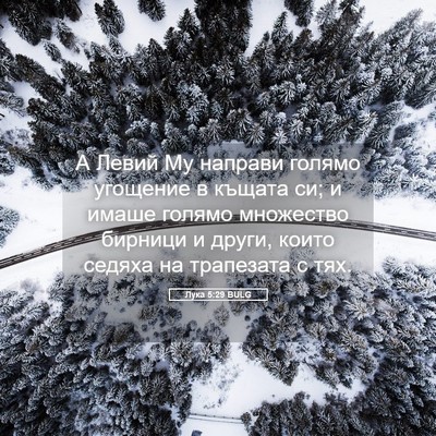 Picture 05 - Лука 5:29 BULG - А Левий Му направи голямо - Bible Verse Picture