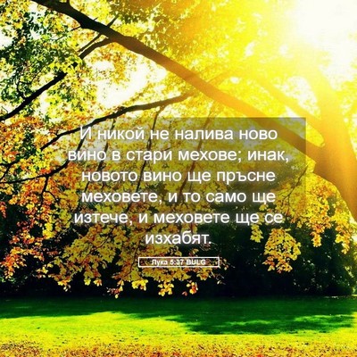 Picture 05 - Лука 5:37 BULG - И никой не налива ново вино - Bible Verse Picture