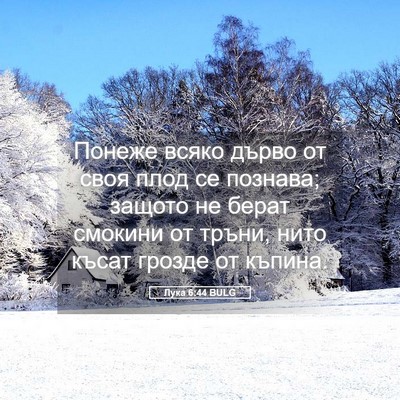 Picture 05 - Лука 6:44 BULG - Понеже всяко дърво от своя - Bible Verse Picture