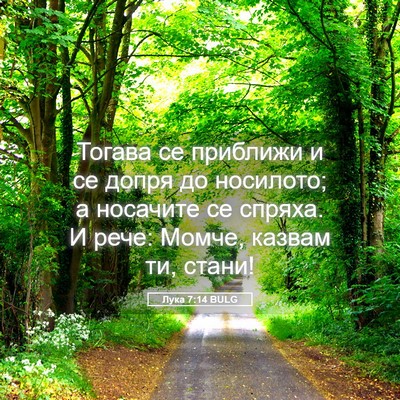 Picture 05 - Лука 7:14 BULG - Тогава се приближи и се - Bible Verse Picture