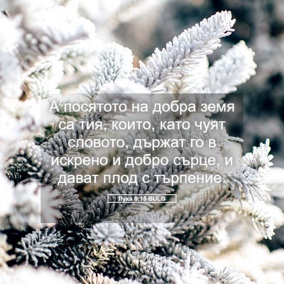 Picture 05 - Лука 8:15 BULG - А посятото на добра земя са - Bible Verse Picture