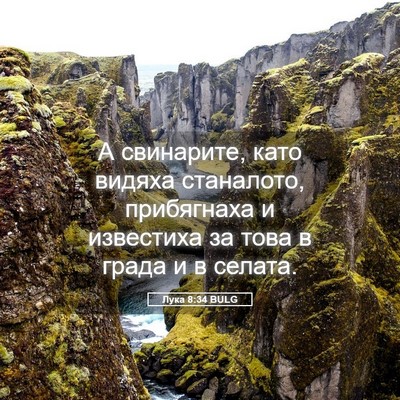 Picture 05 - Лука 8:34 BULG - А свинарите, като видяха - Bible Verse Picture