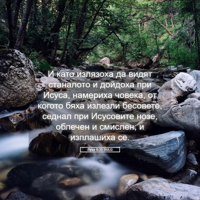 Picture 05 - Лука 8:35 BULG - И като излязоха да видят - Bible Verse Picture