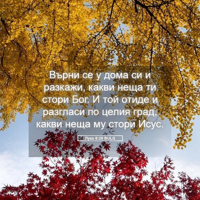 Picture 05 - Лука 8:39 BULG - Върни се у дома си и - Bible Verse Picture