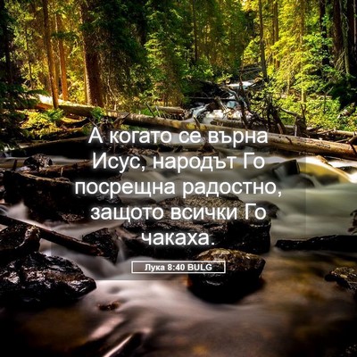 Picture 05 - Лука 8:40 BULG - А когато се върна Исус, - Bible Verse Picture