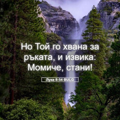 Picture 05 - Лука 8:54 BULG - Но Той го хвана за ръката, и - Bible Verse Picture