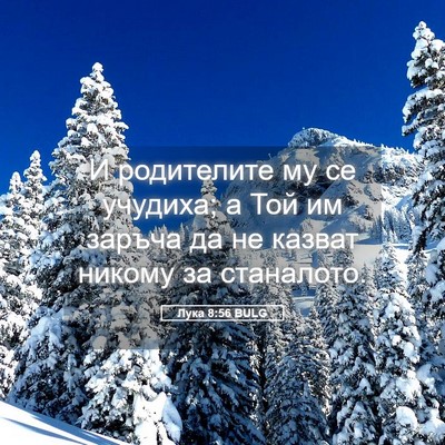 Picture 05 - Лука 8:56 BULG - И родителите му се учудиха; - Bible Verse Picture
