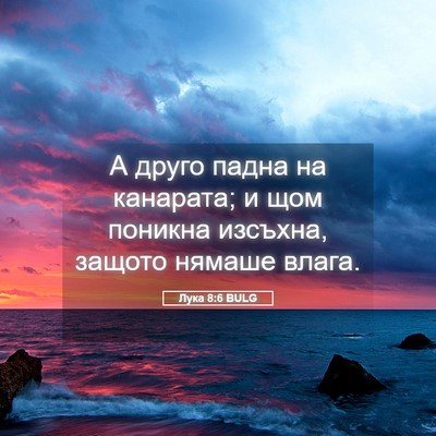 Picture 05 - Лука 8:6 BULG - А друго падна на канарата; - Bible Verse Picture