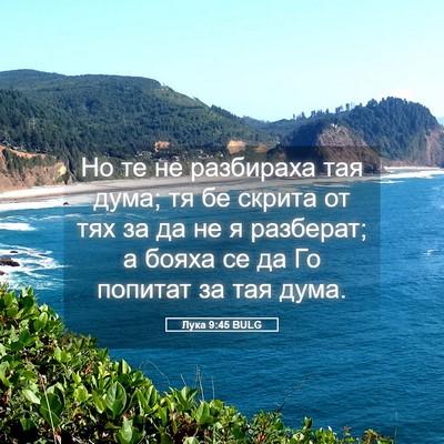 Picture 05 - Лука 9:45 BULG - Но те не разбираха тая - Bible Verse Picture