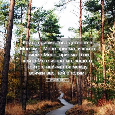 Picture 05 - Лука 9:48 BULG - Който приеме това детенце - Bible Verse Picture