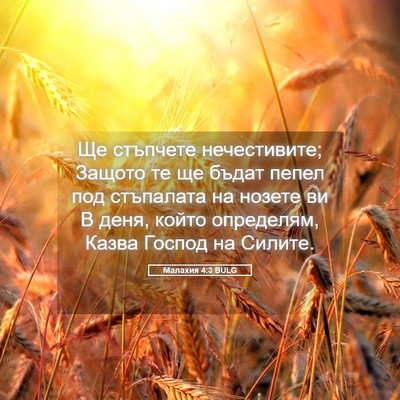 Picture 05 - Малахия 4:3 BULG - Ще стъпчете нечестивите; - Bible Verse Picture