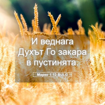Picture 05 - Марко 1:12 BULG - И веднага Духът Го закара в - Bible Verse Picture