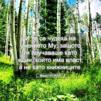 Picture 05 - Марко 1:22 BULG - И те се чудеха на учението - Bible Verse Picture
