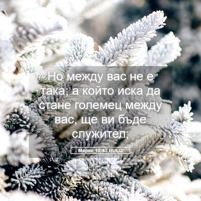 Picture 05 - Марко 10:43 BULG - Но между вас не е така; а - Bible Verse Picture
