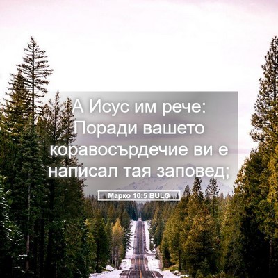 Picture 05 - Марко 10:5 BULG - А Исус им рече: Поради - Bible Verse Picture