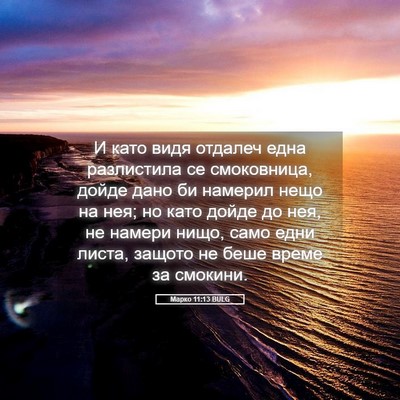 Picture 05 - Марко 11:13 BULG - И като видя отдалеч една - Bible Verse Picture