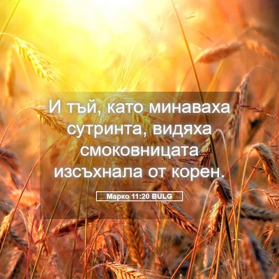 Picture 05 - Марко 11:20 BULG - И тъй, като минаваха - Bible Verse Picture