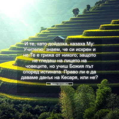 Picture 05 - Марко 12:14 BULG - И те, като дойдоха, казаха - Bible Verse Picture
