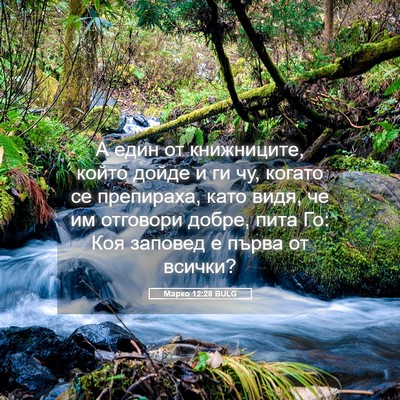 Picture 05 - Марко 12:28 BULG - А един от книжниците, който - Bible Verse Picture