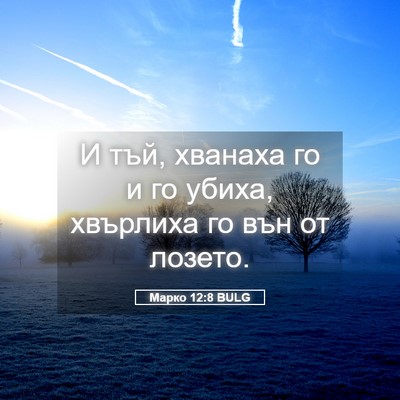 Picture 05 - Марко 12:8 BULG - И тъй, хванаха го и го - Bible Verse Picture