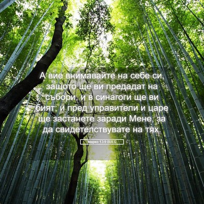 Picture 05 - Марко 13:9 BULG - А вие внимавайте на себе - Bible Verse Picture