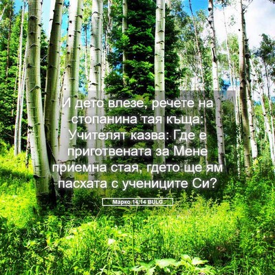 Picture 05 - Марко 14:14 BULG - И дето влезе, речете на - Bible Verse Picture