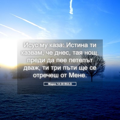 Picture 05 - Марко 14:30 BULG - Исус му каза: Истина ти - Bible Verse Picture